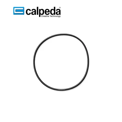 JOINT DE POMPE CALPEDA