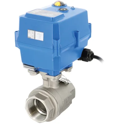 ROBINET BOISSEAU 2P INOX 1/2" G + SERVOMOTEUR TCR-02N - 24 VCA/CC