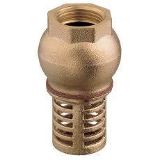 CLAPET CRÉPINE F LAITON DN80 - 3" PN6