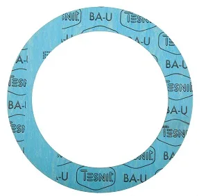 SEALS FIBRE BLUE GAS DN65 - 2"1/2