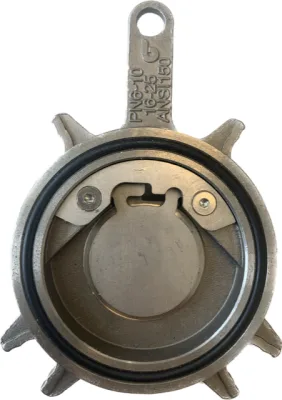 NON-RETURN VALVE SWING STAINLESS STEEL 316 WAFER NBR