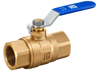 Robinet bronze bs à levier inox guidi F/F