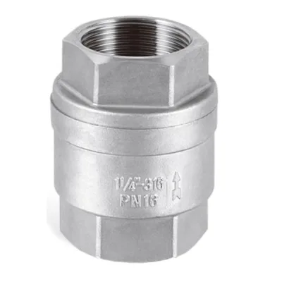 SPRING CHECK VALVE HEX STAINLESS STEEL F/F