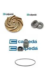 KIT ENTRETIEN POMPE CALPEDA BC41/1E
