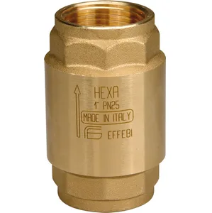 SPRING CHECK VALVE HEX BRASS F/F DN25 - 1" PN25