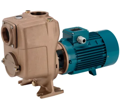 POMPE DE SURPRESSION CALPEDA B-A 65-150B/A TRIPHASÉ 230/400 V 3 KW